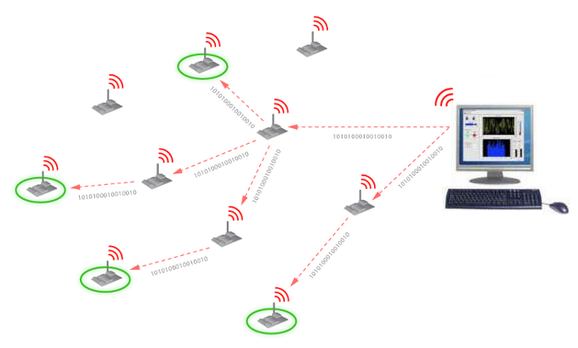 Wireless Sensor Network